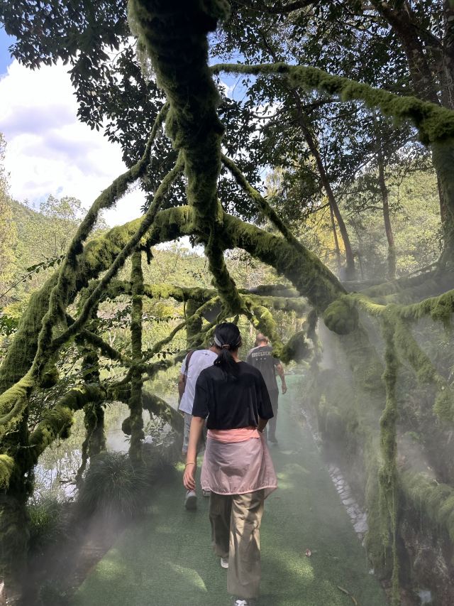 灵栖洞旅行图片 3