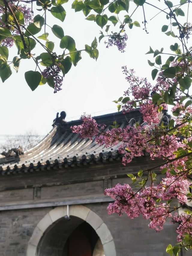 智化寺旅行图片 2