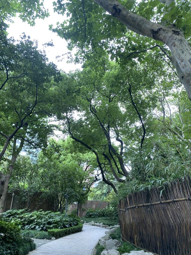 丰盛里·静安寺广场旅行图片 6