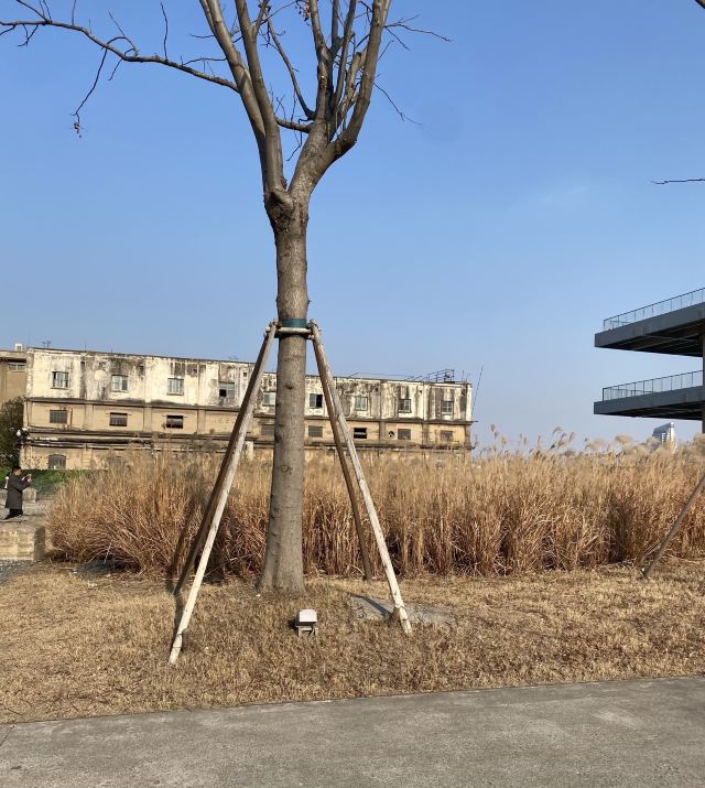 杨树浦电厂遗迹公园旅行图片 7