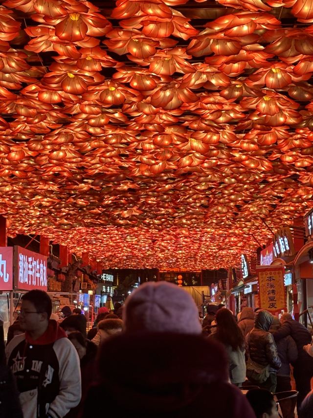 老北市旅行图片 8