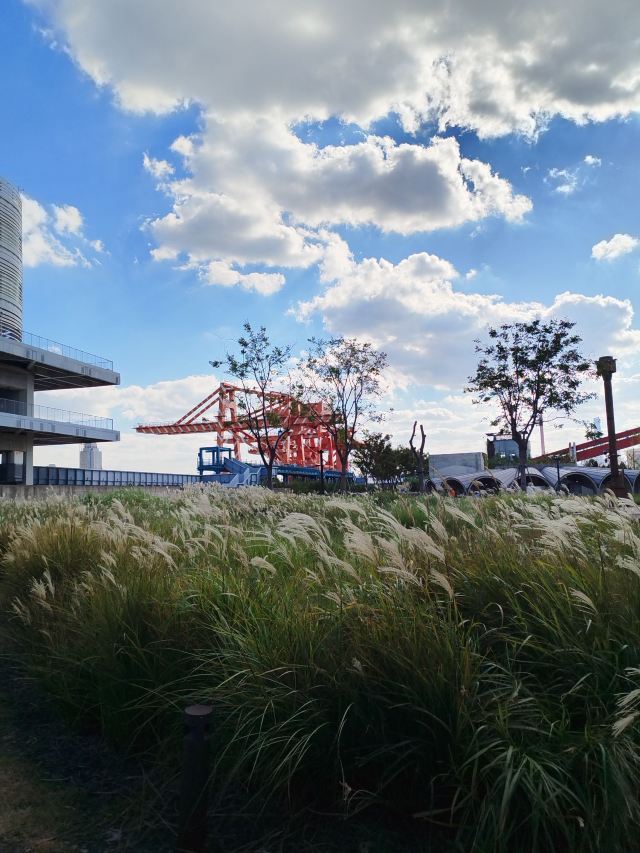杨树浦电厂遗迹公园旅行图片 3