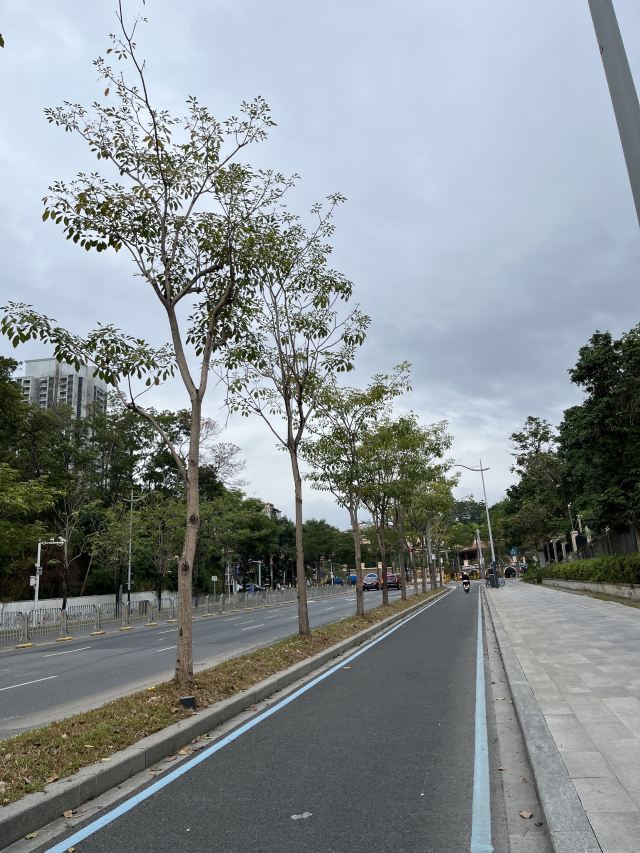 尖岗山公园旅行图片 2