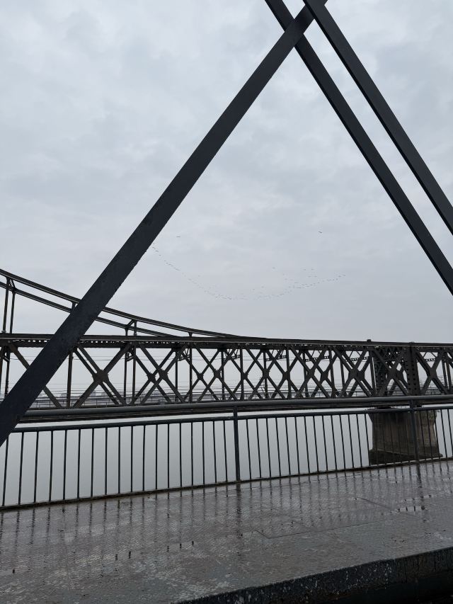 江浦公园旅行图片 1
