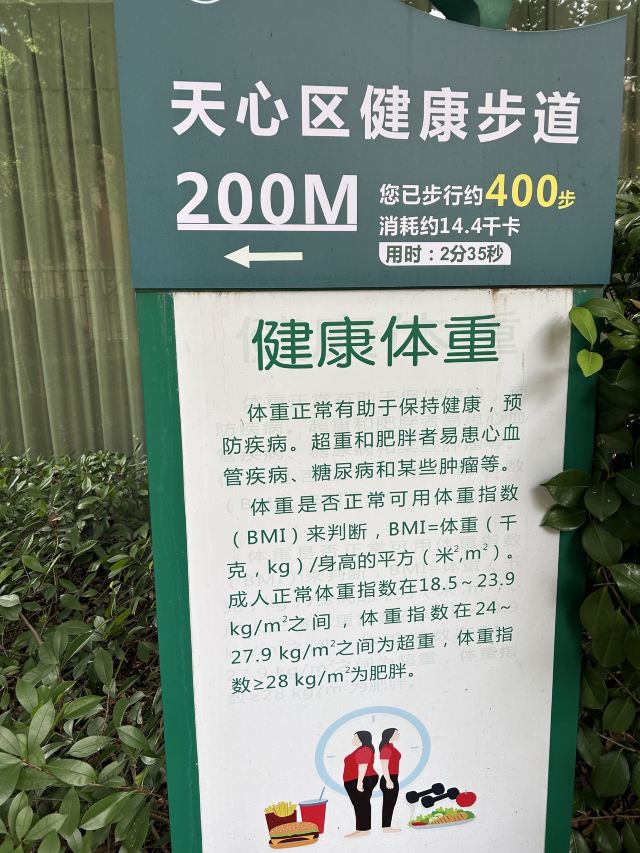 湘府文化公园旅行图片 10