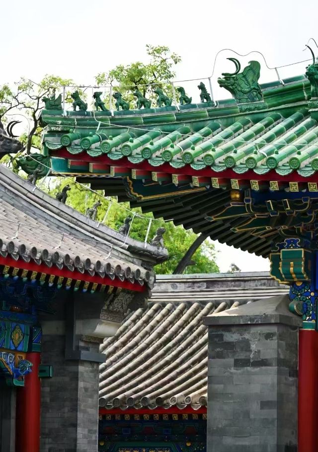 北京动物园旅行图片 1