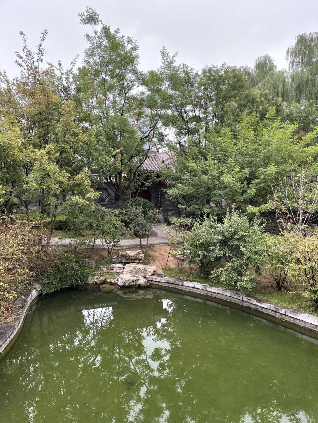 迎泽公园旅行图片 12