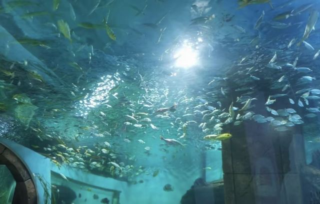海蓝星梦幻城旅行图片 2