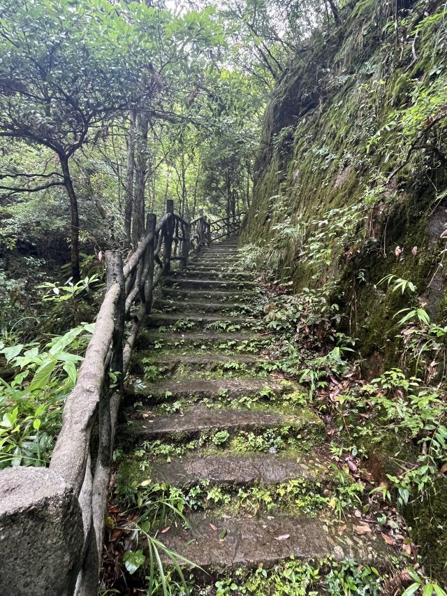 箬寮原始森林旅行图片 1