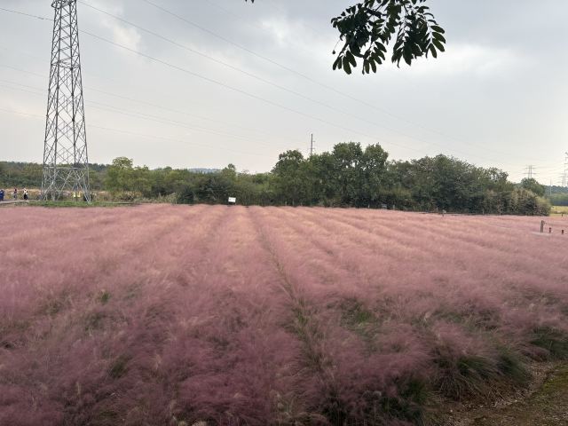 郭兴庄园旅行图片 2