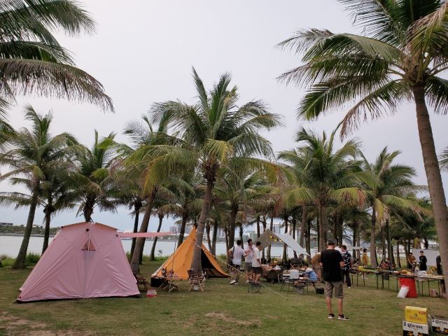 碧桂园·碧海银滩公园旅行图片 5