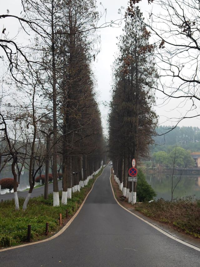南湖景区旅行图片 6