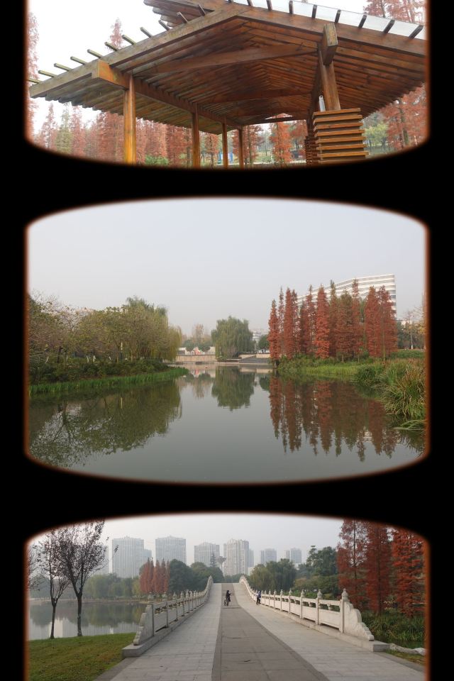 雍湖公园旅行图片 1