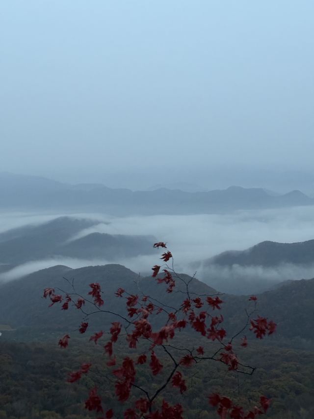 大牛沟云海天梯登山口旅行图片 1