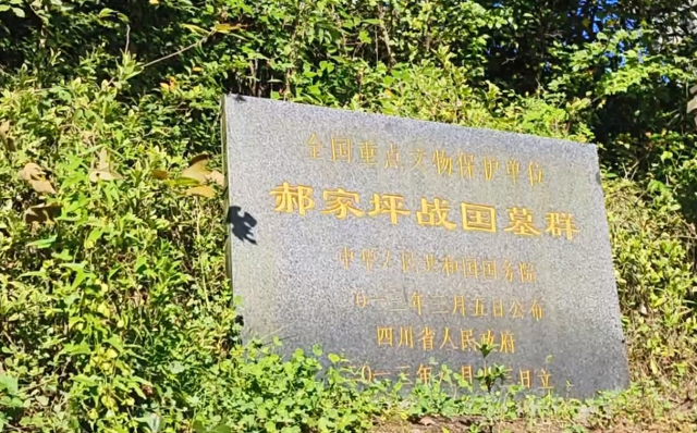 青川郝家坪战国墓群旅行图片 1