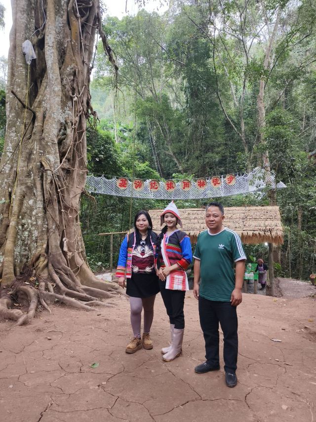 基诺山达娘雨林徒步旅行图片 5
