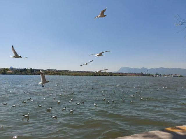 大观公园旅行图片 6