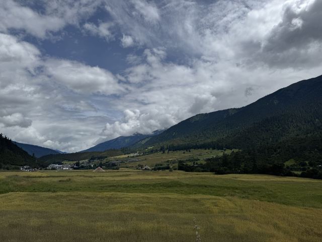 鲁朗林海风景区旅行图片 4