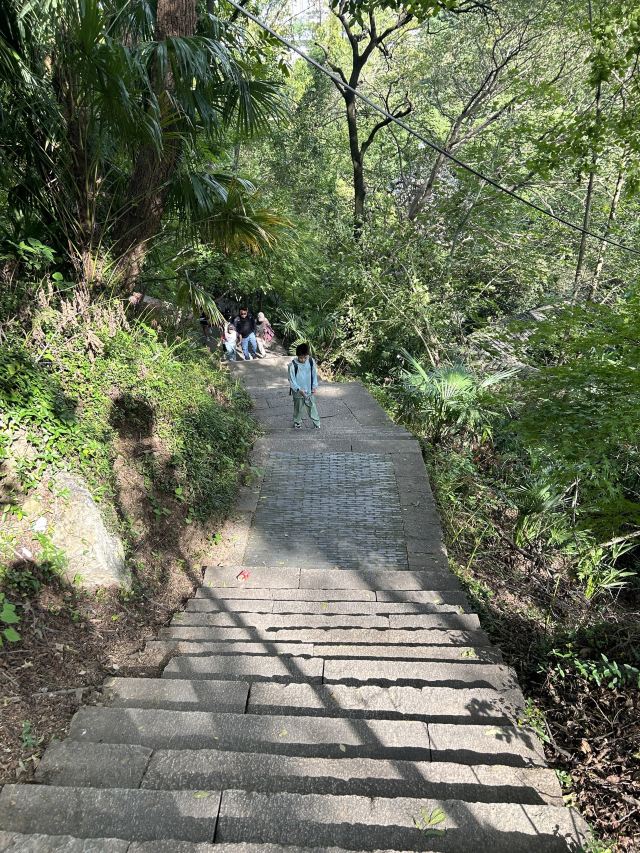 亭林园旅行图片 3