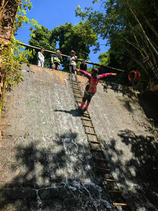 基诺山幽河谷雨林旅行图片 1