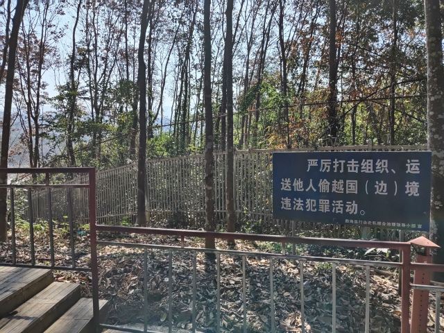 西双版纳独树成林景区旅行图片 1