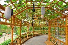 金丰农科园-廊坊-YoYo_2D6H6C5R