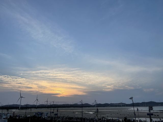 蓝眼泪观景点(长江澳海滩)旅行图片 2