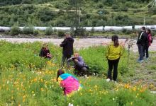 小伊里农庄美食图片