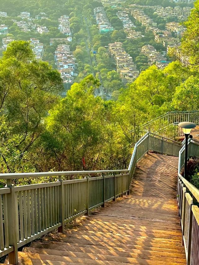 尖岗山公园旅行图片 2