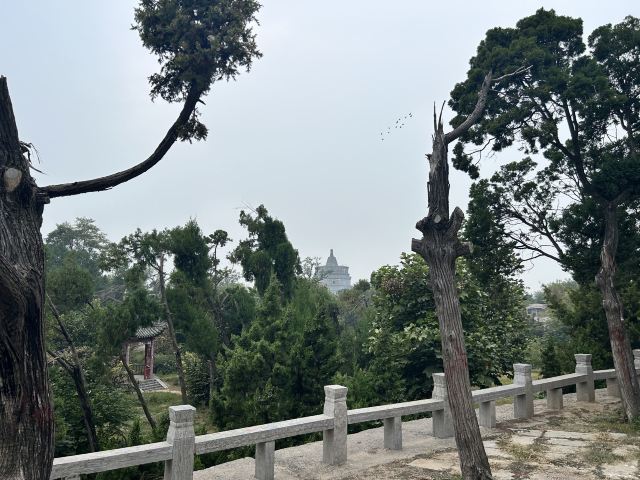 禹王台公园旅行图片 10