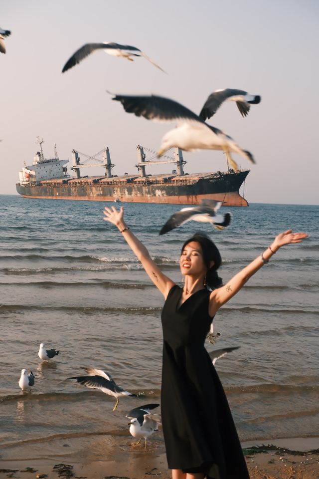 布鲁威斯号搁浅巨轮旅行图片 10