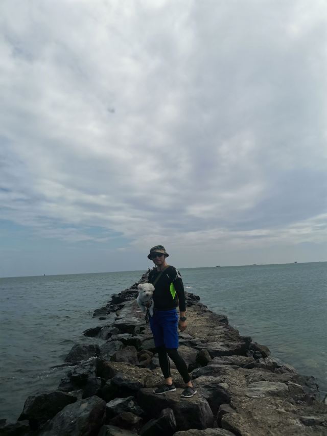 企沙灯塔旅行图片 5