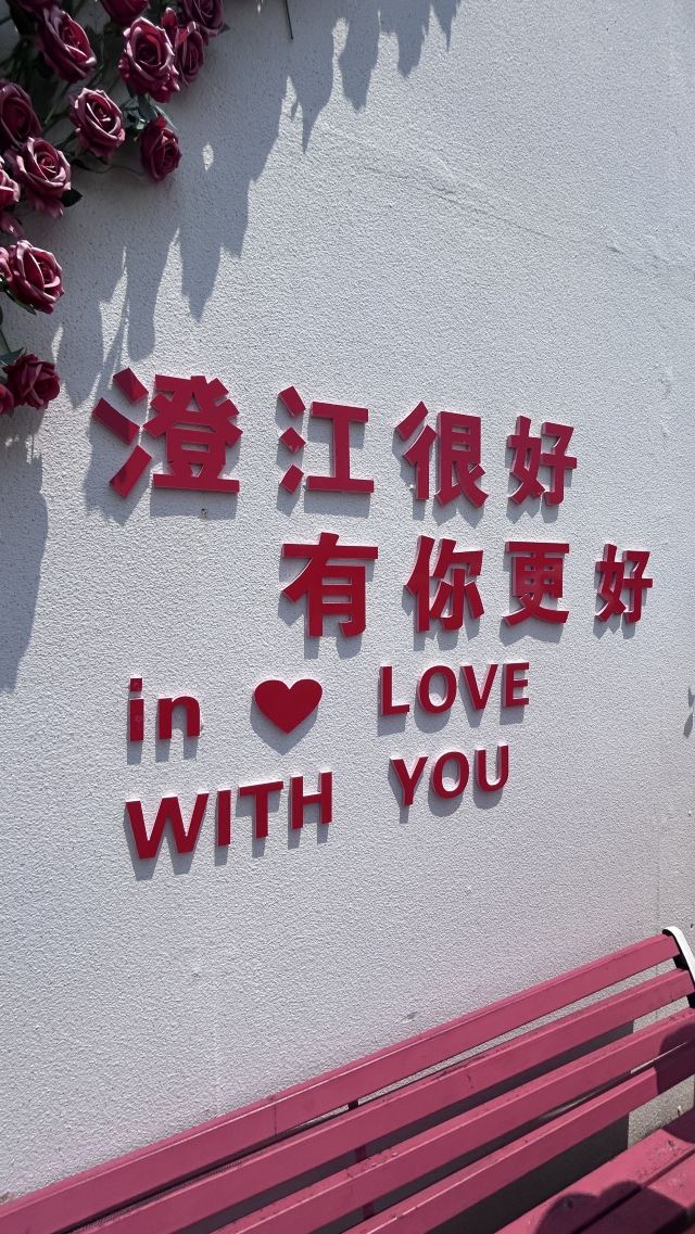 广龙抚海湾湿地公园旅行图片 3