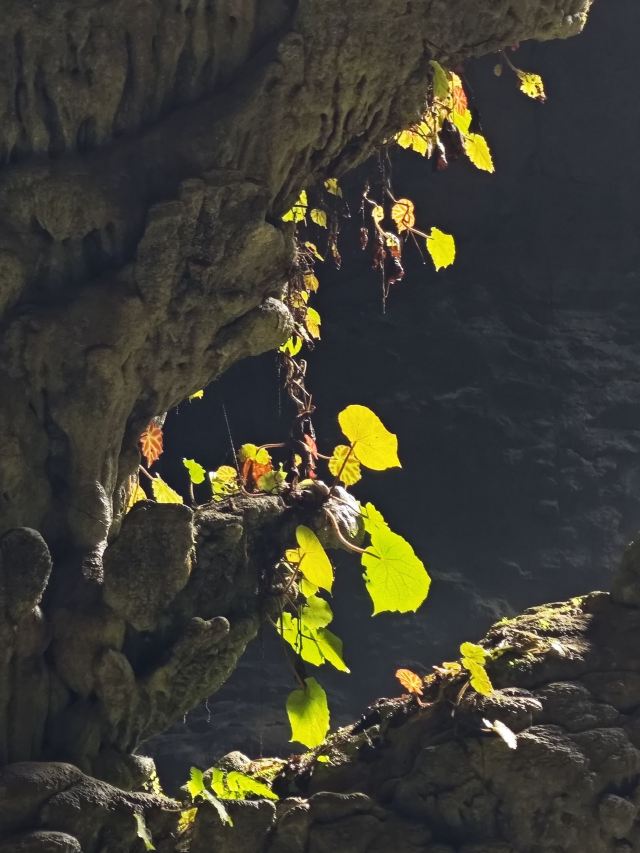 弄响天坑旅行图片 7