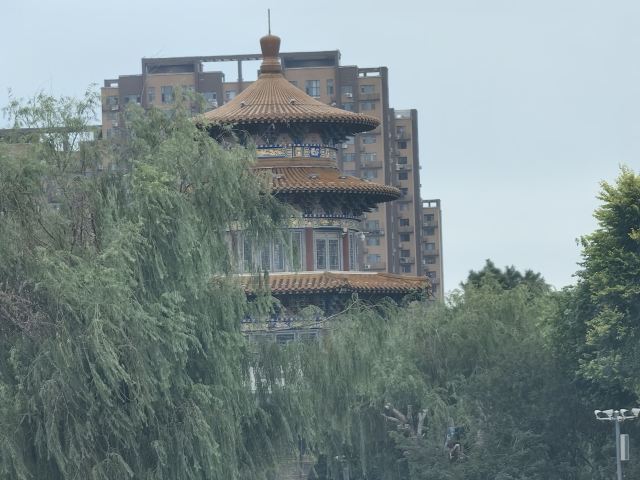 劳动公园旅行图片 5