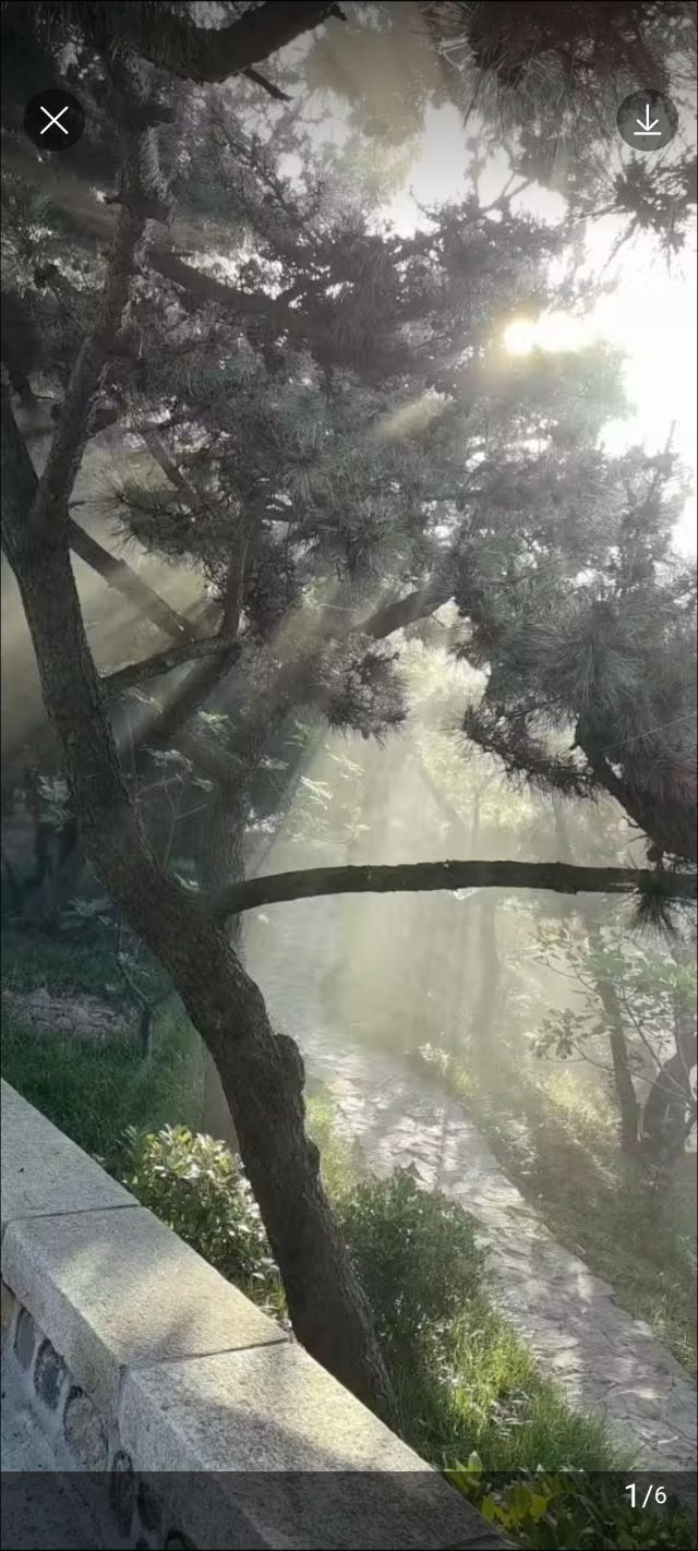 石岛公园旅行图片 9