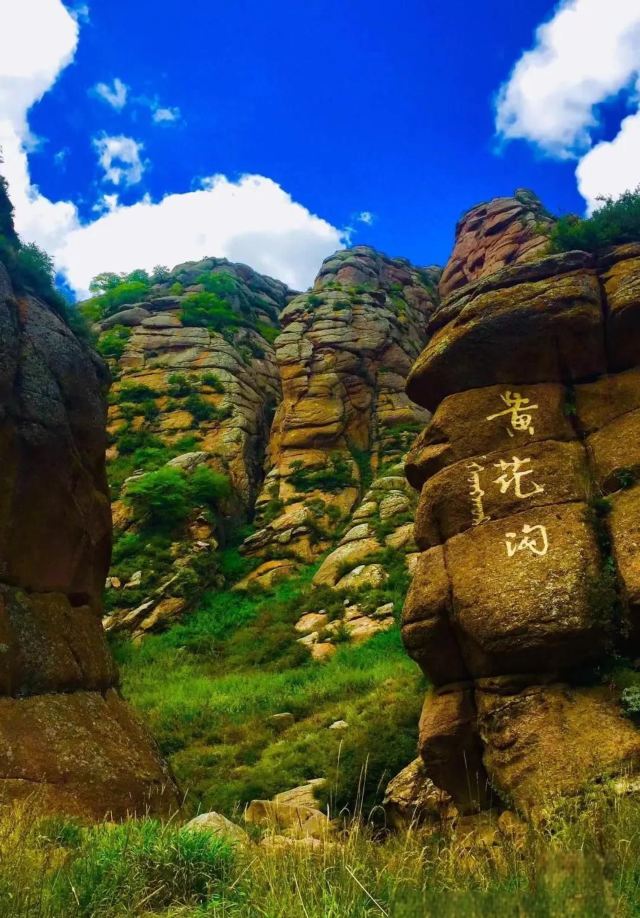 辉腾锡勒草原(暂停开放)旅行图片 2