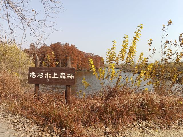 池杉湖国家湿地公园旅行图片 2