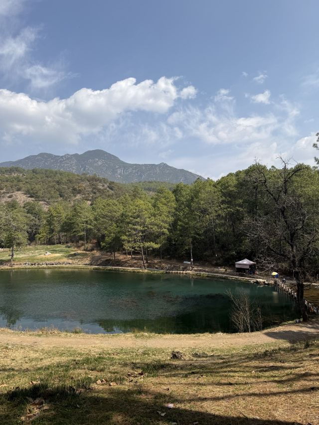 候鸟湾湿地旅行图片 3