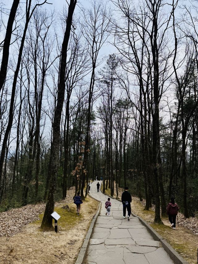 剑门关景区旅行图片 3