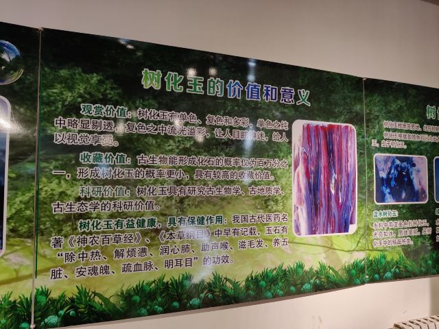石家庄植物园旅行图片 7