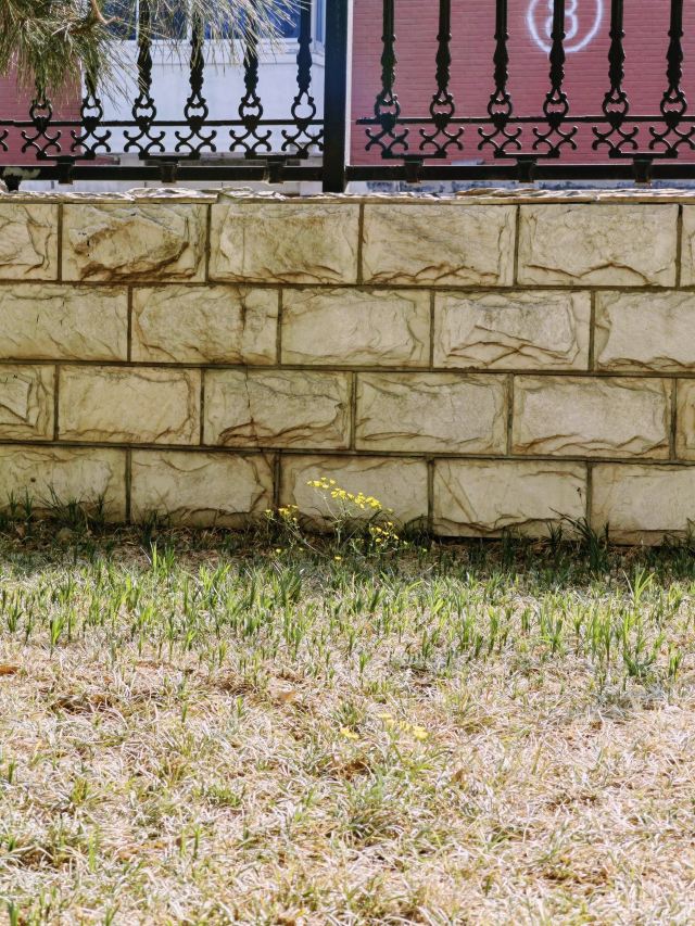 五棵松奥林匹克文化公园旅行图片 1