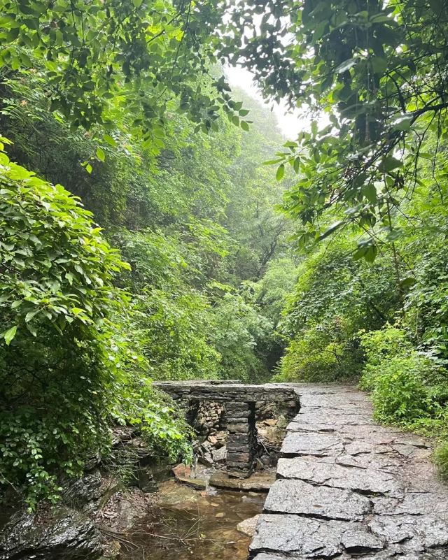 蝴蝶谷旅行图片 2