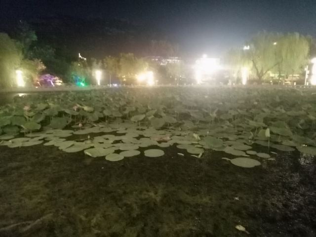 龙泽湖公园旅行图片 3