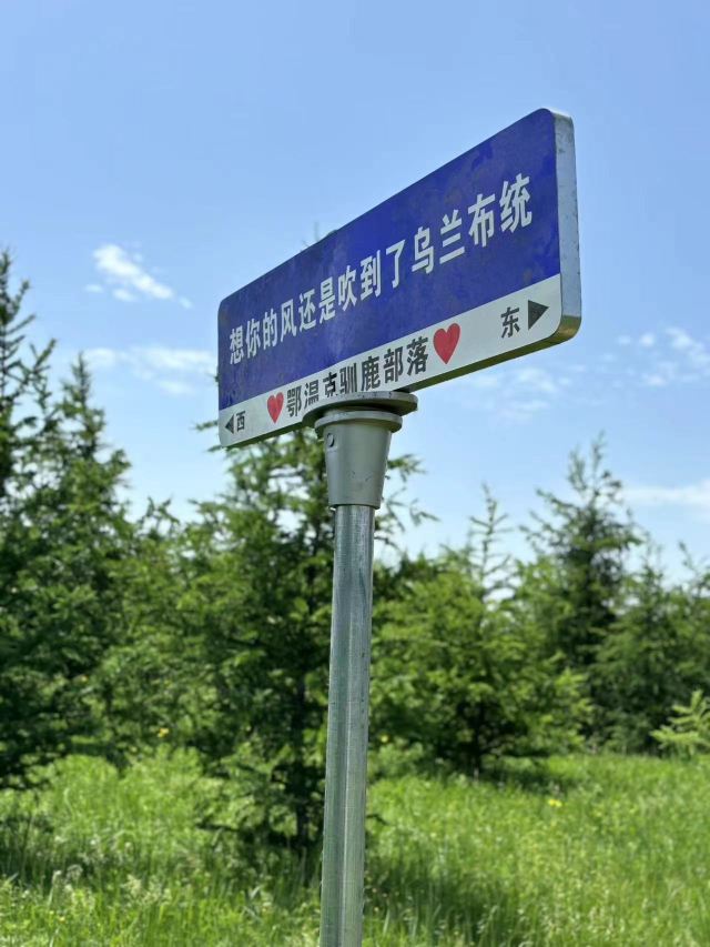 乌兰布统达瓦鄂温克驯鹿部落旅行图片 3