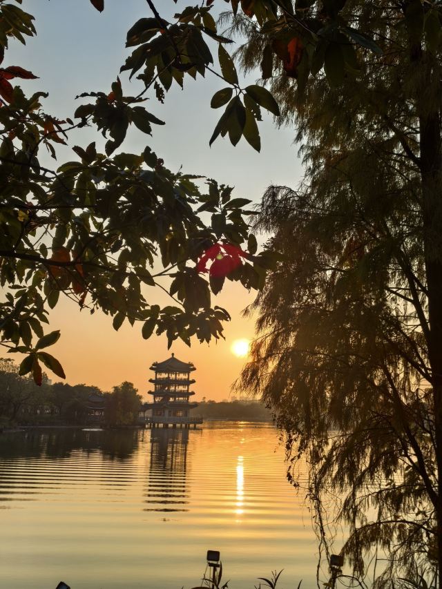 华阳湖国家湿地公园旅行图片 1