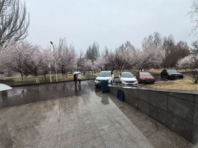 青海大学-党员活动公园旅行图片 4