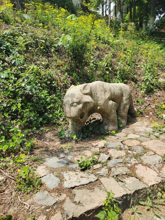 芦花荡公园-园门旅行图片 8