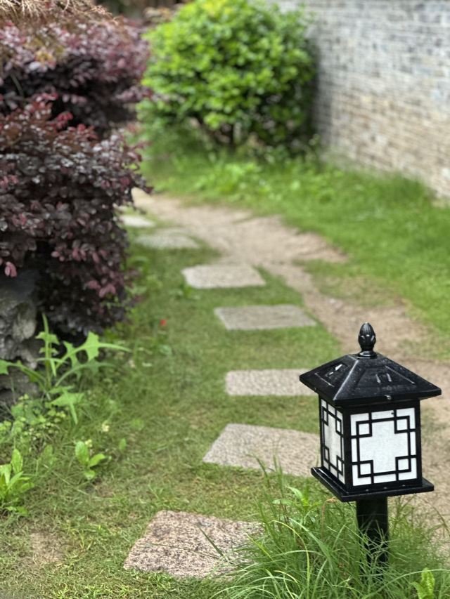 青溪老街旅行图片 7