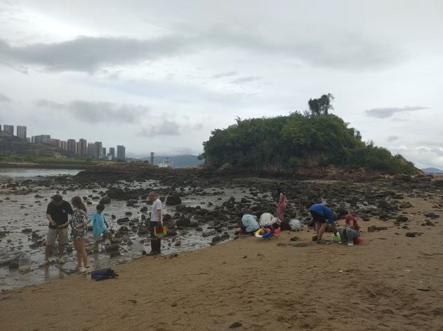 礁石公园旅行图片 5